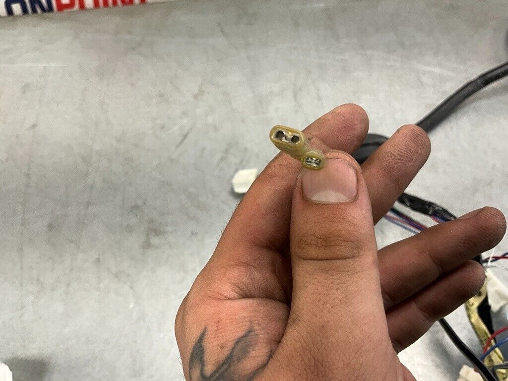 2004 Nissan Z33 350Z Passenger Right Door Wiring Harness 24124 Oem 25Bdqfe - On Point Parts Inc