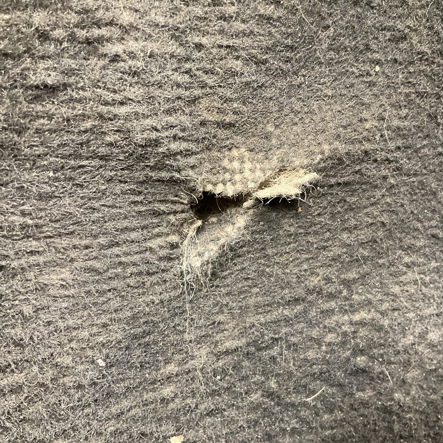 09-15 G37 Q60 Coupe Interior Floor Carpet 749011NG0A Oem Htg - On Point Parts Inc