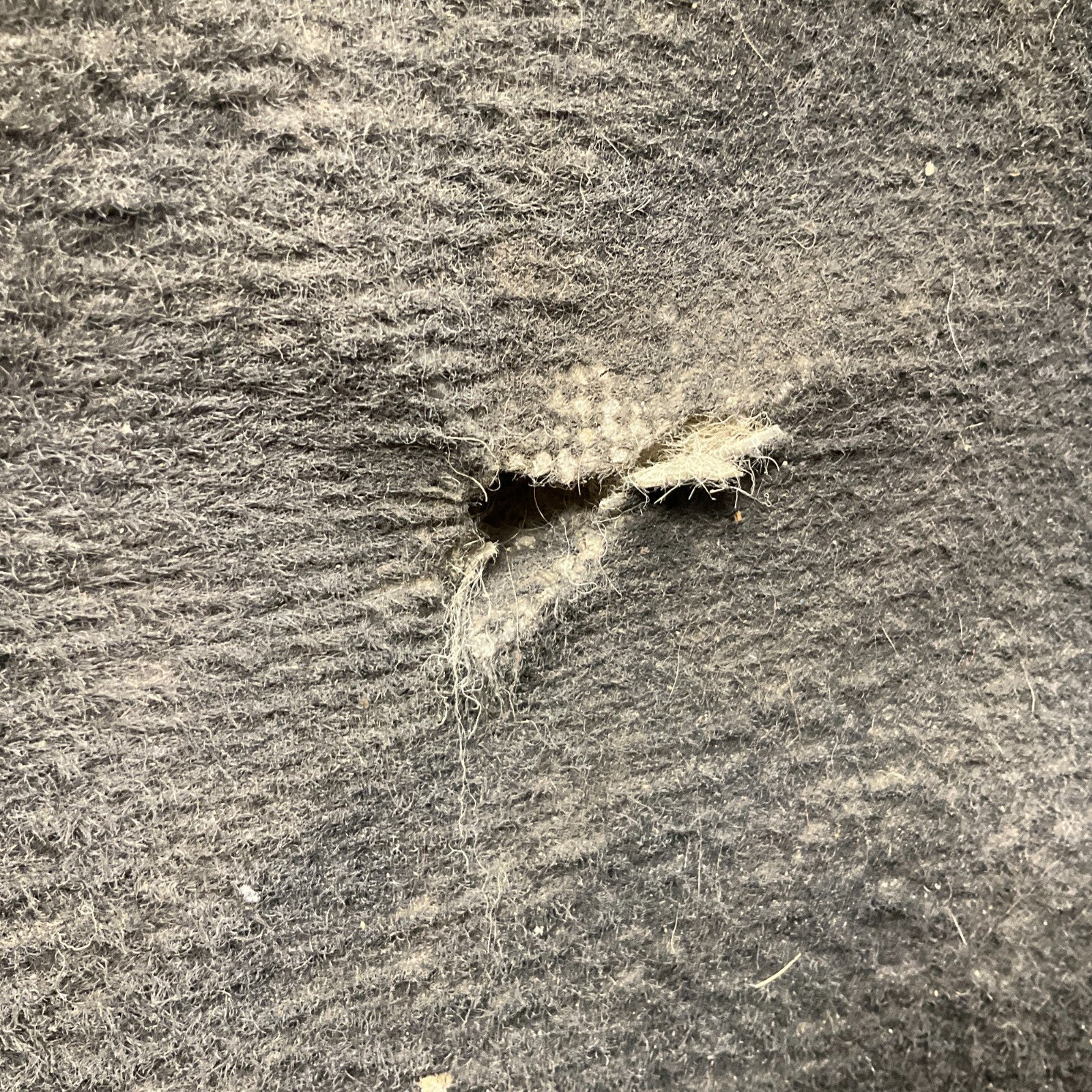 09-15 G37 Q60 Coupe Interior Floor Carpet 749011NG0A Oem Htg - On Point Parts Inc