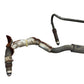 07-15 G35 G37 Q60 Awd Power Steering Hoses 49720JK61C Oem Htg - On Point Parts Inc