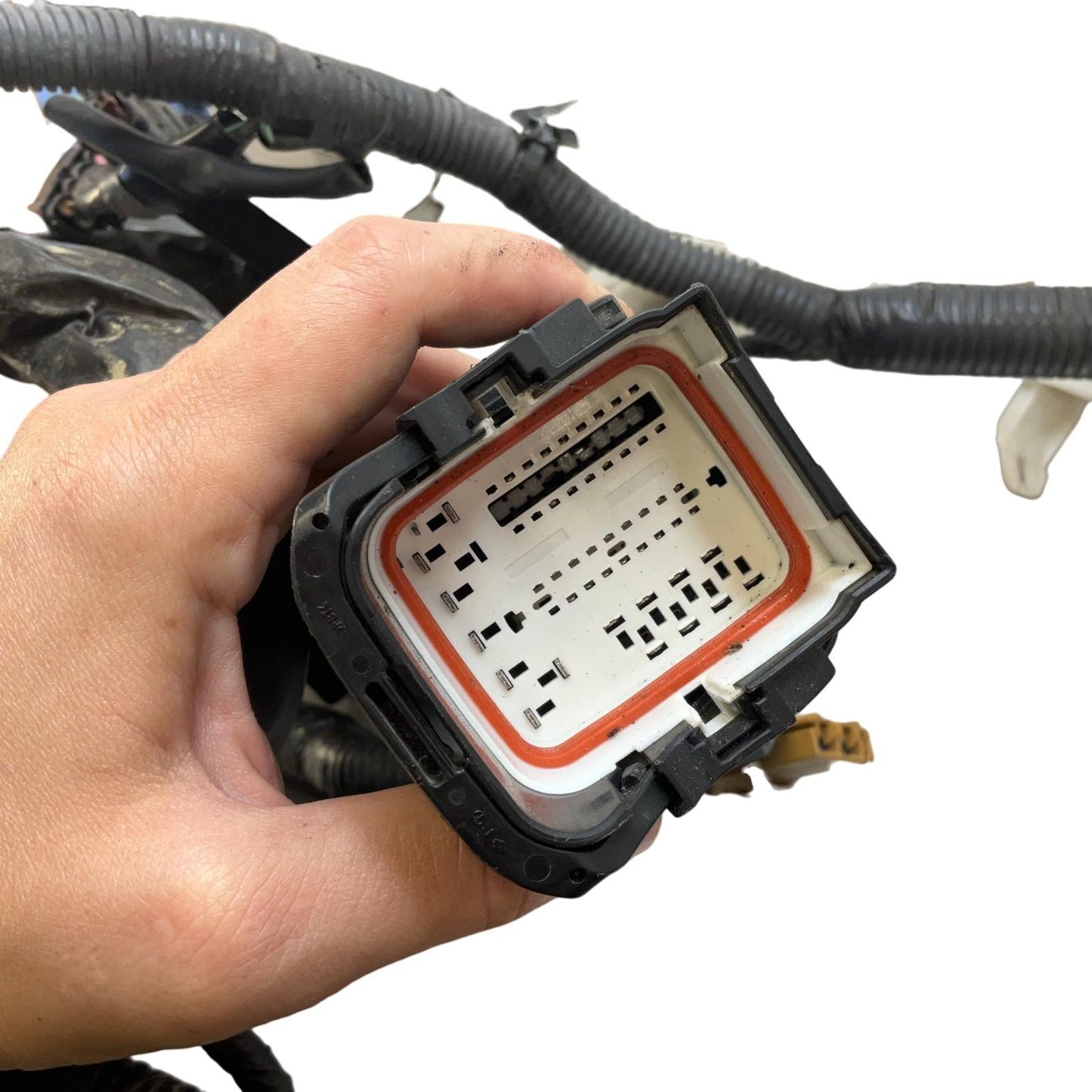 10-15 G37 Q60 Vq37Vhr Awd Automatic Engine Bay Wire Harness 240121NL0A Oem Htg - On Point Parts Inc