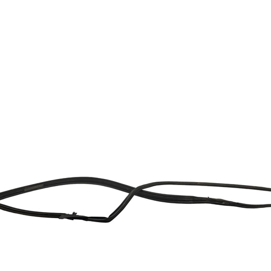 08-10 Infiniti G35 G37 FR RH Sedan Door Shell Weatherstrip 76921JU41A OEM IPG