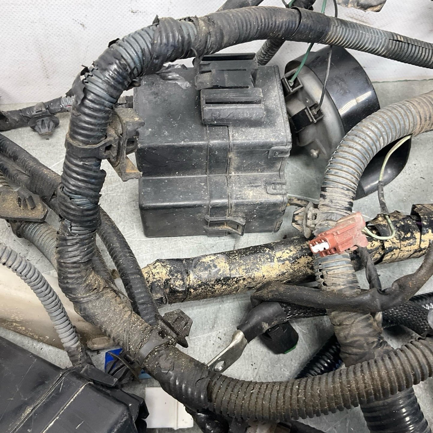 08-10 Infiniti G35 G37 VQ37VHR Auto Engine Bay Wire Harness 240121NC0B OEM IPG