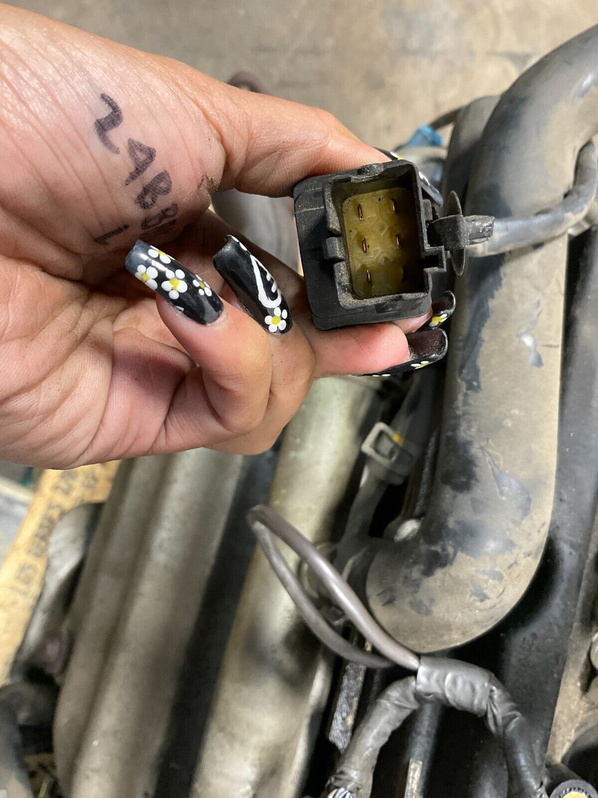 2005 Infiniti G35 V6 VQ35DE RevUp Manual Engine 154k OEM 11BFME0 - On Point Parts Inc