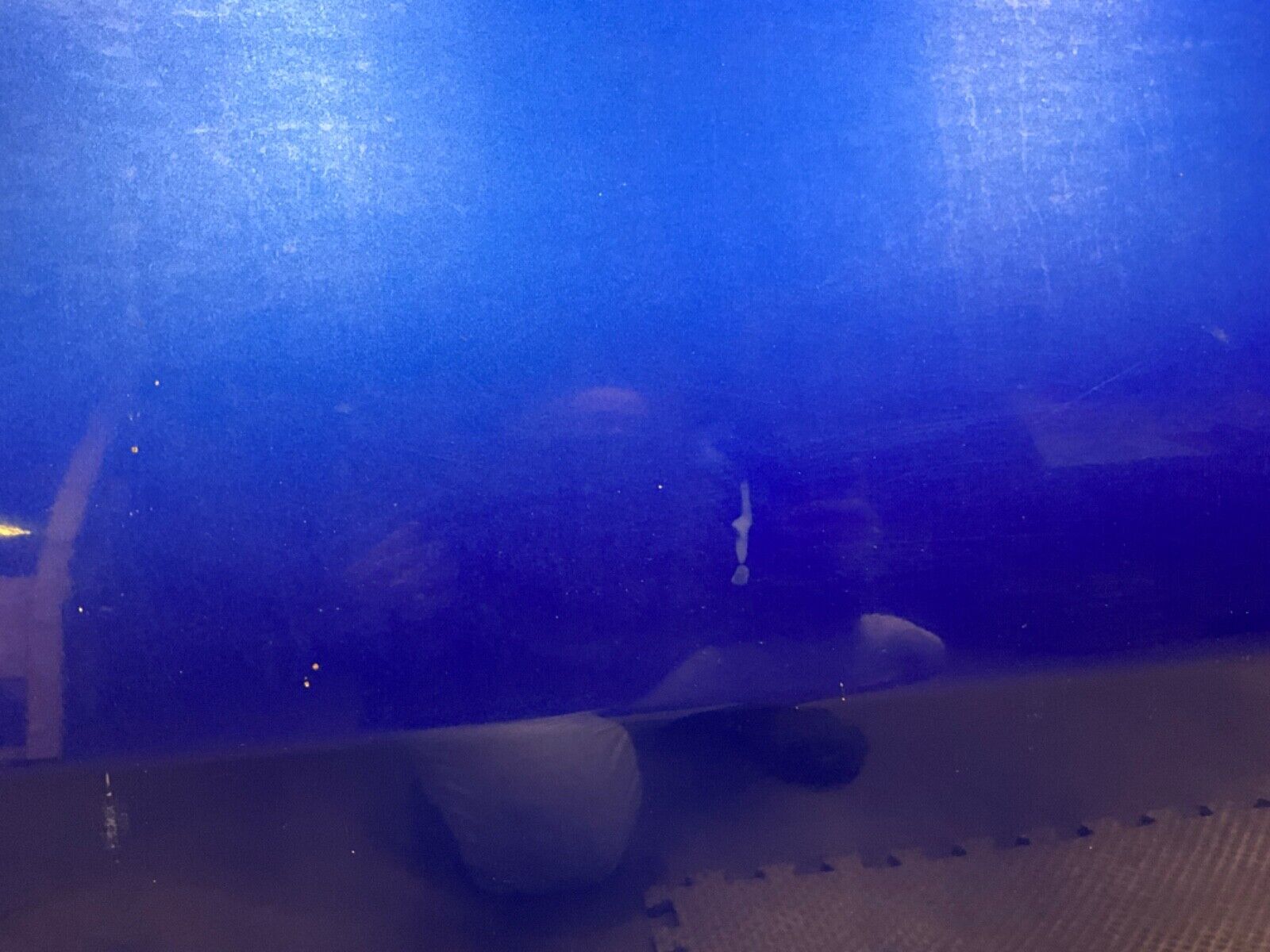 2003 Nissan Z33 350Z Passenger Right Door Shell OEM 21BKGE1 - On Point Parts Inc