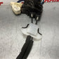 2004 Nissan Z33 350Z Passenger Right Front Door Lock Actuator OEM 14BALFE - On Point Parts Inc