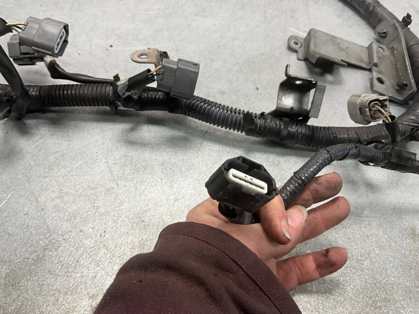 2004 Nissan Z33 350Z VQ35DE Engine Wiring Harness Automatic 24011 OEM 14BALFI - On Point Parts Inc