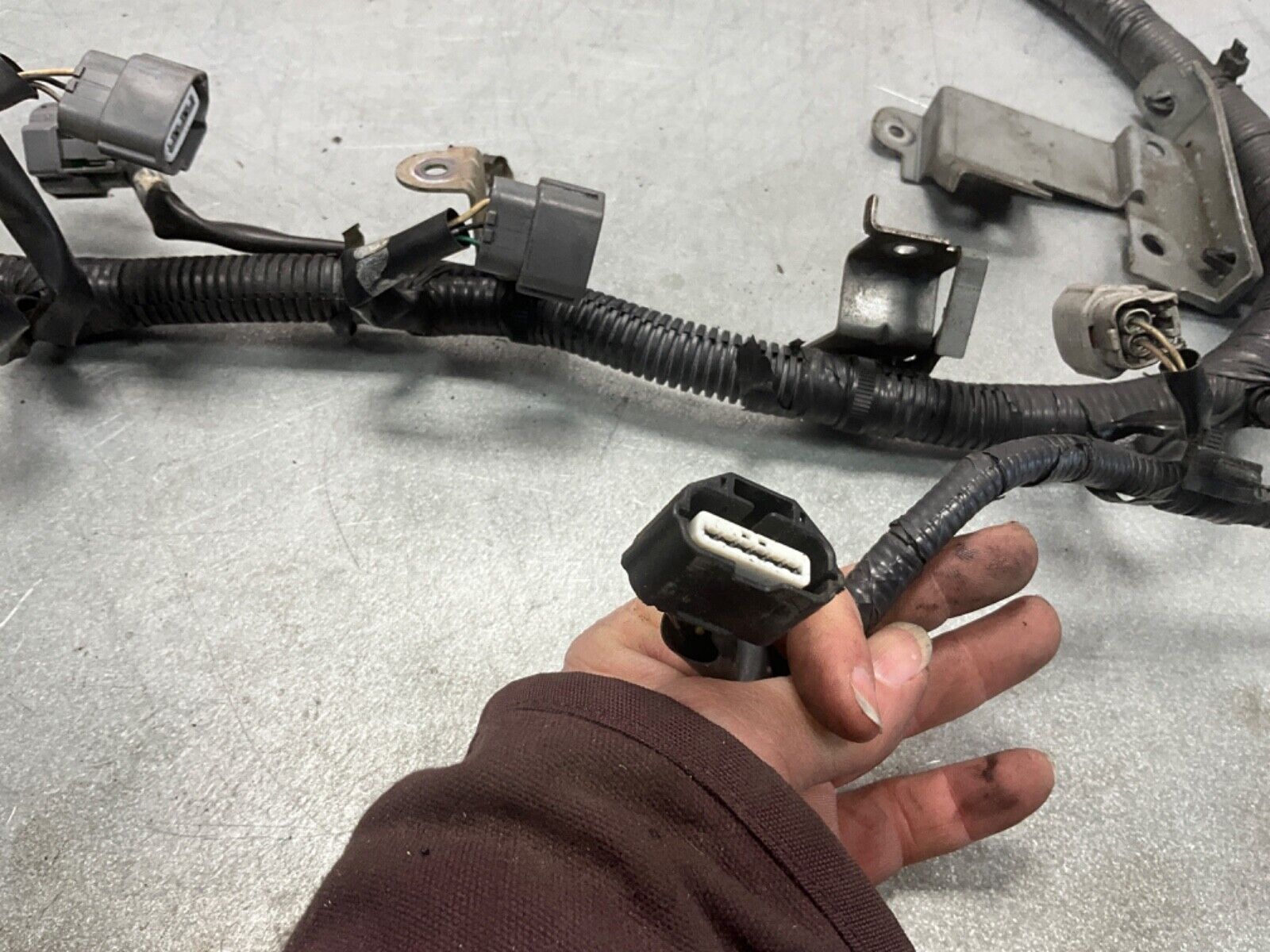 2004 Nissan Z33 350Z VQ35DE Engine Wiring Harness Automatic 24011 OEM 14BALFI - On Point Parts Inc