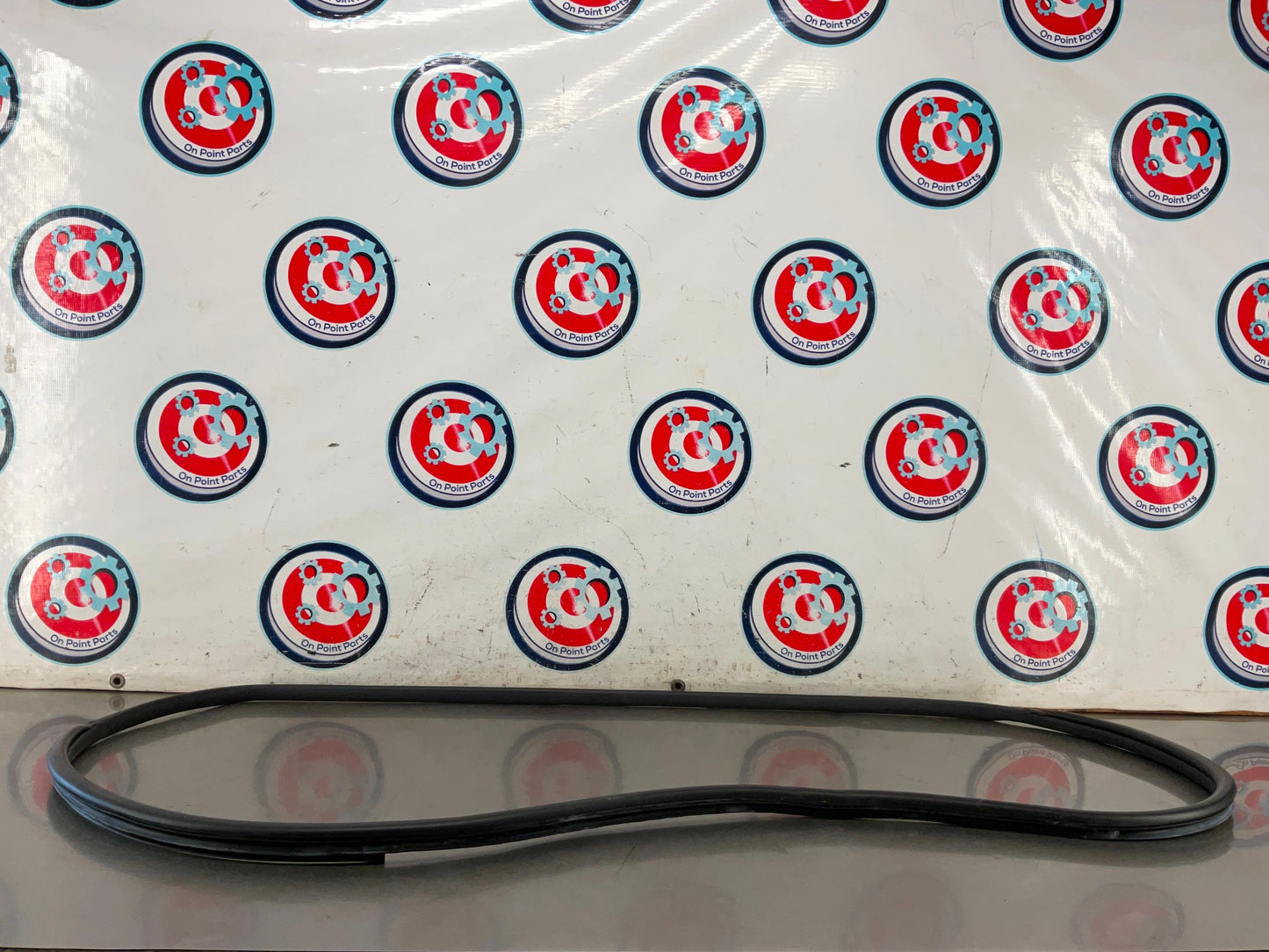 2006 Nissan 350Z Passenger Right Door Seal OEM 12BI3DE - On Point Parts Inc